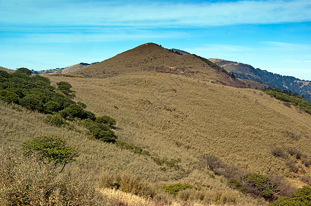 中国湖北申农家山地貌松树旅游树木森林山脉图片