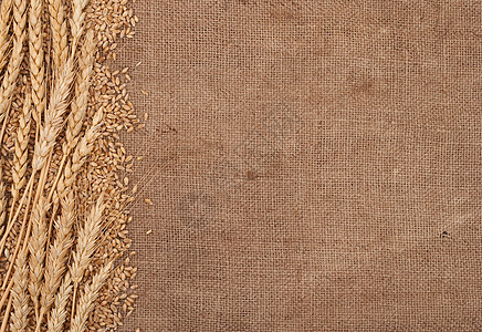 粗布背景的小麦耳朵边框农民织物生产玉米粮食收成谷物稻草植物麻布图片