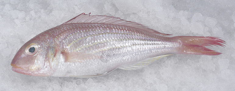 Kerisik 鱼水平食物市场熟鱼健康饮食生活方式海鲜图片