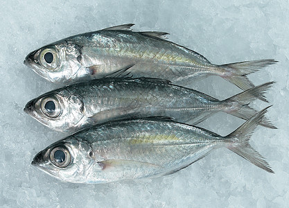 鱼食物市场生活方式健康饮食熟鱼水平海鲜图片
