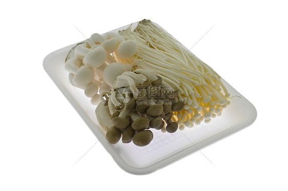 Shimeji蘑菇山毛榉工作室美味垂体食物镶嵌生产美食孢子团体图片