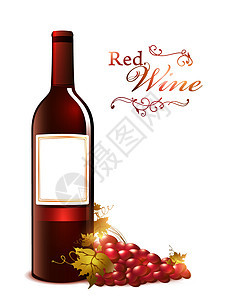 红酒瓶加葡萄红色水果酒厂饮料藤蔓叶子空白浆果紫色产品图片