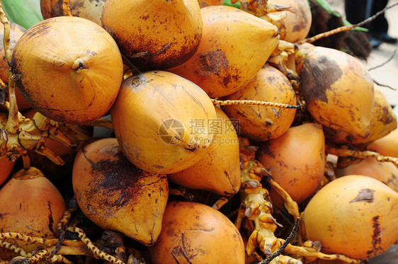 金椰子水果图片