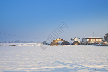 下雪景森林照明植物群太阳雾凇天气童话假期全景高地图片