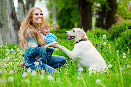 蒲公英女孩带着女孩和狗的女人闲暇公园猎犬女孩们女士草地朋友们宠物花朵女儿背景