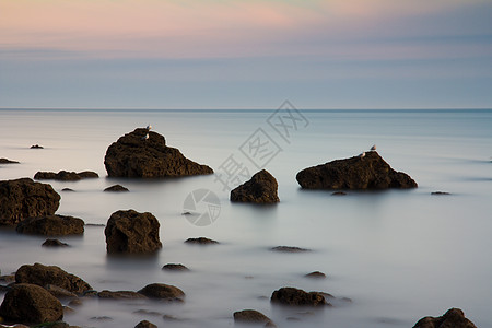 雾水支撑海岸海景海洋岩石图片