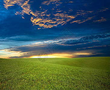绿野天空地平线草地乡村丘陵绿色牧歌风景牧场农业图片