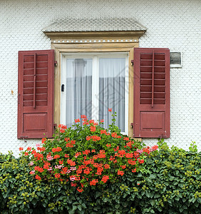 窗口和鲜花百叶窗财产房子衬套住宅红色窗帘快门图片