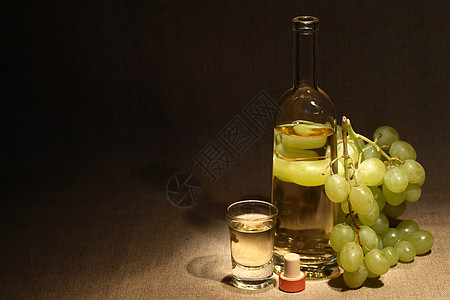 意大利伏特加格拉帕农场酿酒美食饮食水果酒杯玻璃帆布酒精饮料图片