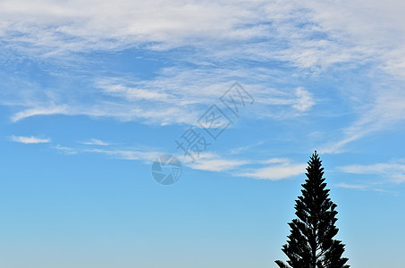 蓝色的天空 有云彩和卷云图片