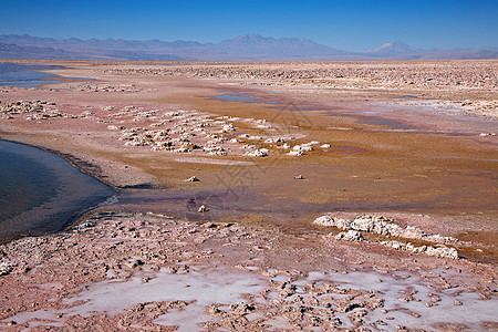 智利阿塔卡马寂寞水晶沙漠地区气候旅游孤独高原干旱旅行图片