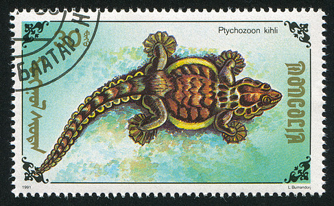 蜥蜴爬行动物海豹邮戳野生动物尾巴爬虫邮票明信片脊椎动物眼睛图片