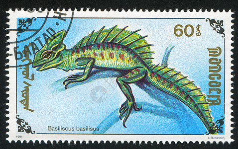 蜥蜴鬣蜥邮件信封荒野眼睛明信片爬虫野生动物动物群历史性图片