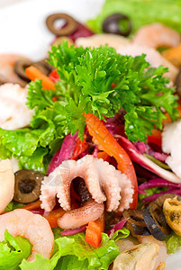 海食沙拉盘子青菜胡椒宏观牡蛎海鲜螃蟹蔬菜食物小吃图片