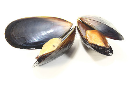 两船海鲜奢华盐水异国珍珠起动机海洋甲壳水果烹饪图片