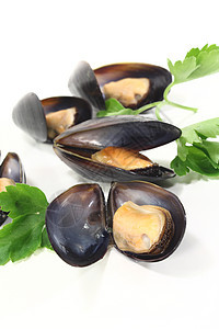 带平板叶的贝壳异国动物珍珠奢华贝类贻贝烹饪熟食盘子海鲜图片