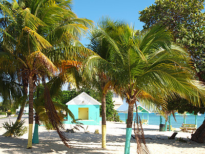 开曼群岛公共海滩岛背景图片