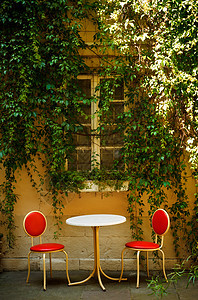 户外咖啡馆植物小酒馆叶子衬套小吃店照片藤本绿色椅子桌子图片