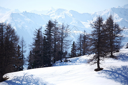 山上有高山顶峰冻结季节暴风雪天空单板阳光小路高度云杉图片