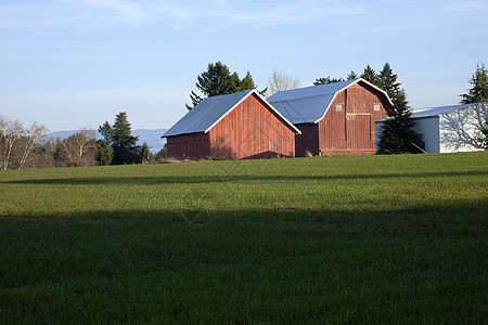 俄勒冈农村的农场和田野丘陵贮存郊区木结构草原场地植物商业农业阴影图片