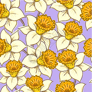 无缝模式 带有水仙季节插图绘画草图植物紫色花头植物群花瓣手绘图片