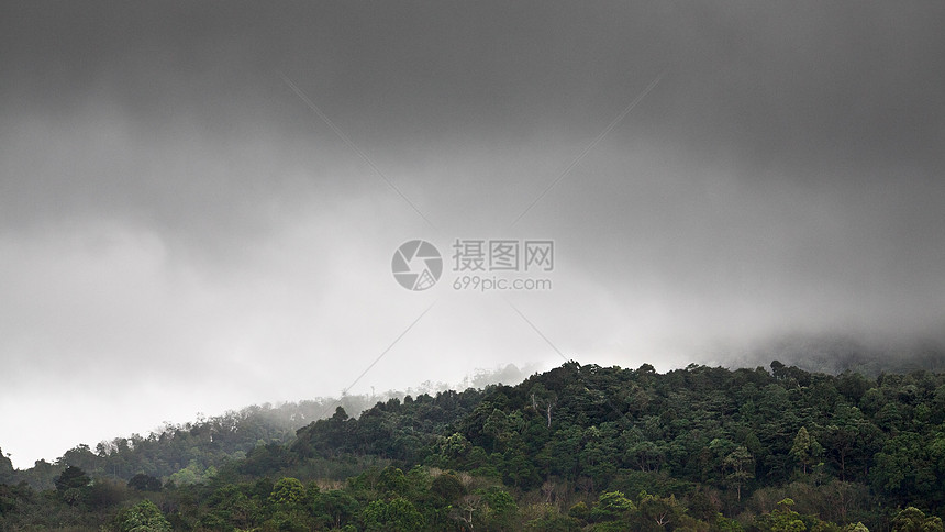 雨下森林土地荒野倾盆大雨蓝色照片薄雾雨量叶子远足丛林图片