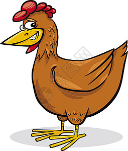 卡通鸡绘画微笑母鸡艺术羽毛农场鸡冠公鸡卡通片家禽图片