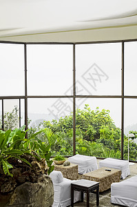 客厅植物沙发桌子椅子家具胜地玻璃窗背景图片