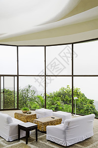 客厅椅子家具桌子沙发胜地玻璃窗植物背景图片