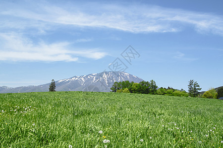 伊瓦特山和蓝天场地草原绿色蓝色季节阳光太阳草地天空图片