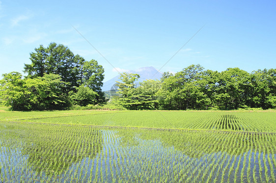 伊瓦特山和蓝天蓝色天气天空晴天图片