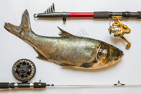 鱼杆和渔具动物鳟鱼海鲜低音垂钓者旅行卷轴鱼钩喜悦渔夫图片