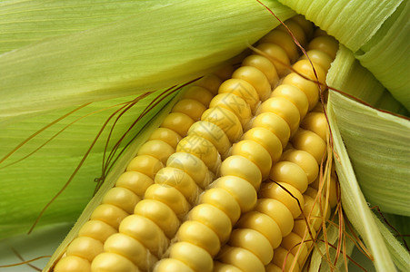 甜玉米可可叶子植物黄色食物营养内核粮食谷物收成杂货图片