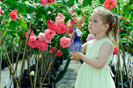 在温室植物群女孩花园粉色生长童年植物学绿色女性园艺图片