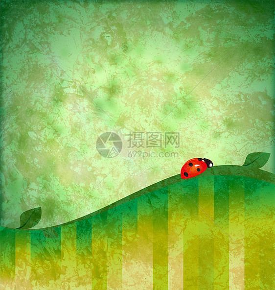 用红草鸟用绿色背景粗木格图示图片
