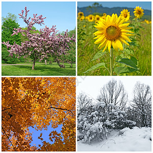 春夏秋冬 四个季节图片