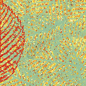 叶背景 EPS 8橙子细胞骨骼脉络植物群宏观装饰品植物纤维季节图片
