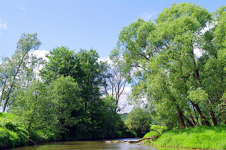 夏季风景与河流荒野旅行反射公园天空地平线草地场景叶子蓝色图片