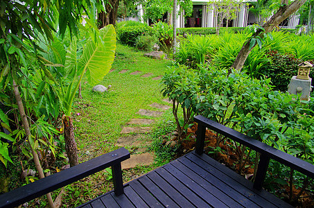 花园园植物群路线途径风格叶子热带花园后院院子衬套图片