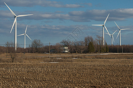 纽约州北风车图片