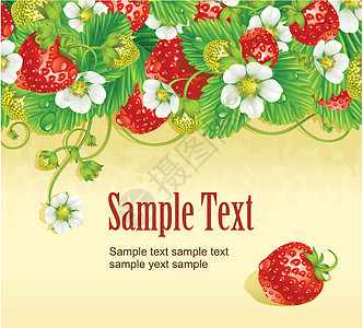 草莓框 红莓和白花设计问候横幅墙纸花园标签叶子饮食元素蔬菜图片