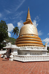 斯里兰卡丹布卢拉金寺佛教徒stupa佛塔神社金子佛教徒寺庙图片