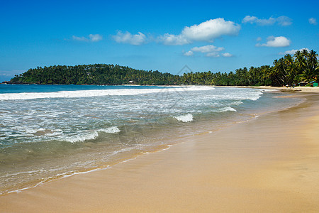 依德利海滩 斯里兰卡棕榈孤独天空假期蓝色海洋风景海滩地平线丛林图片