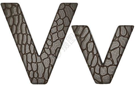鳄鱼皮肤字体V 小写和大写字母背景