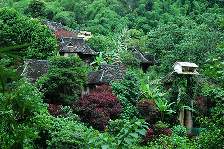 热带村庄村庄建筑学建筑绿色森林房子树木风景植物热带图片