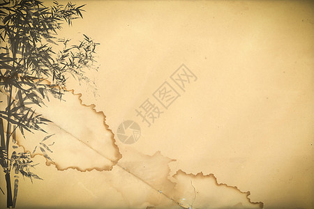 旧古董纸质上的竹子边界框架水平树枝植物芦苇场地绿色木头树叶图片