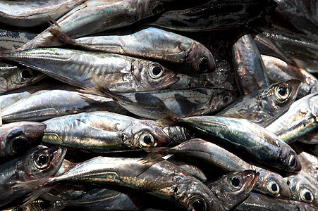 马 提拉食物渔业烹饪大厅鱼骨钓鱼骨头海鲜市场营养图片