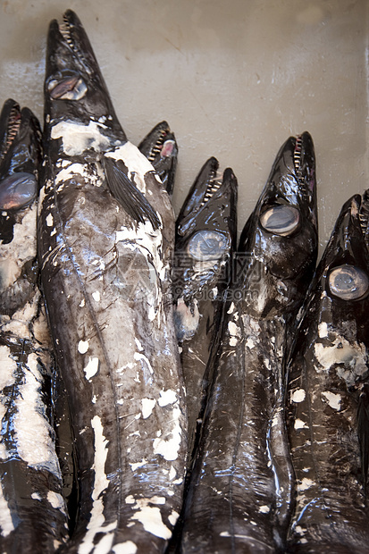 马 提拉海鲜营养鱼片拖网烹饪市场钓鱼鱼骨渔业骨头图片