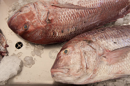 马 提拉鱼片市场钓鱼海鲜渔业鱼骨营养食物拖网栖息图片