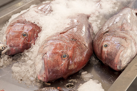 马 提拉市场海鲜钓鱼烹饪营养鱼骨渔业栖息大厅食物图片